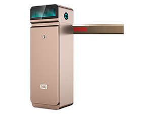 Intelligent Gate DZ202