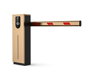 Intelligent Gate DZ908